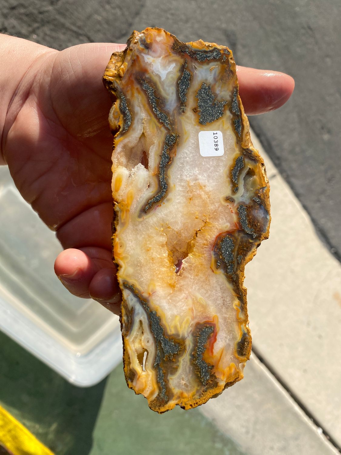 Indonesian Marcasite Slab
