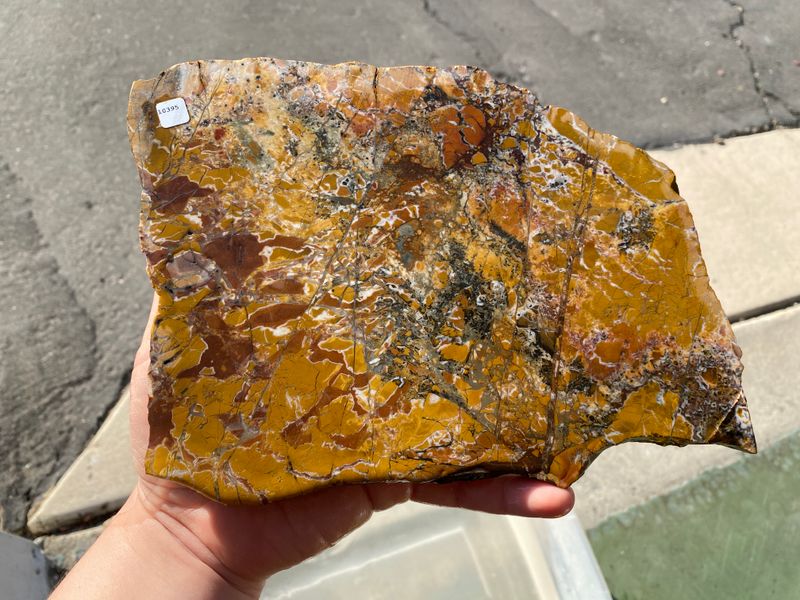 Stony Creek Jasper Agate Slab