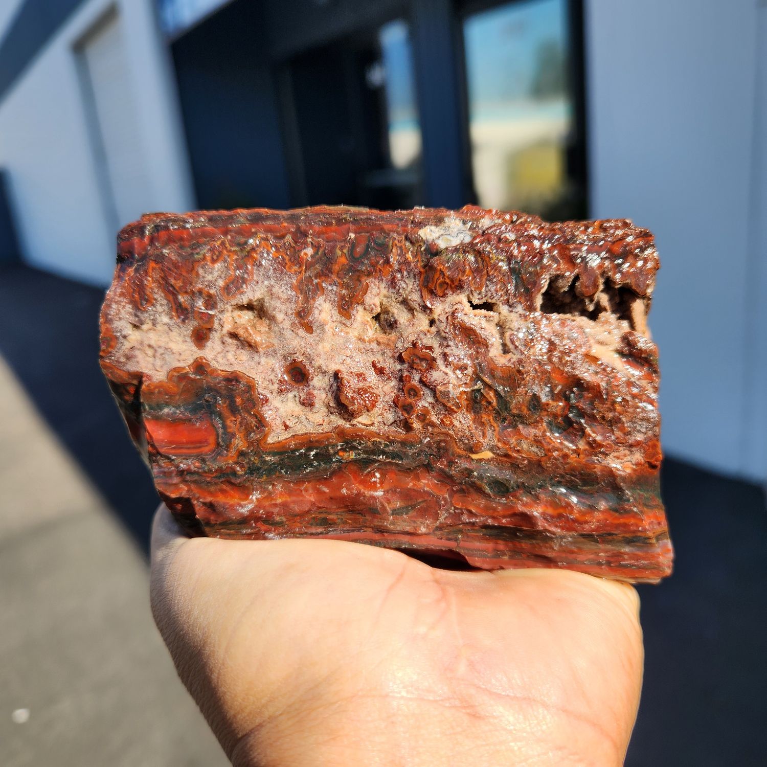 Lone Juniper Jasper Rough