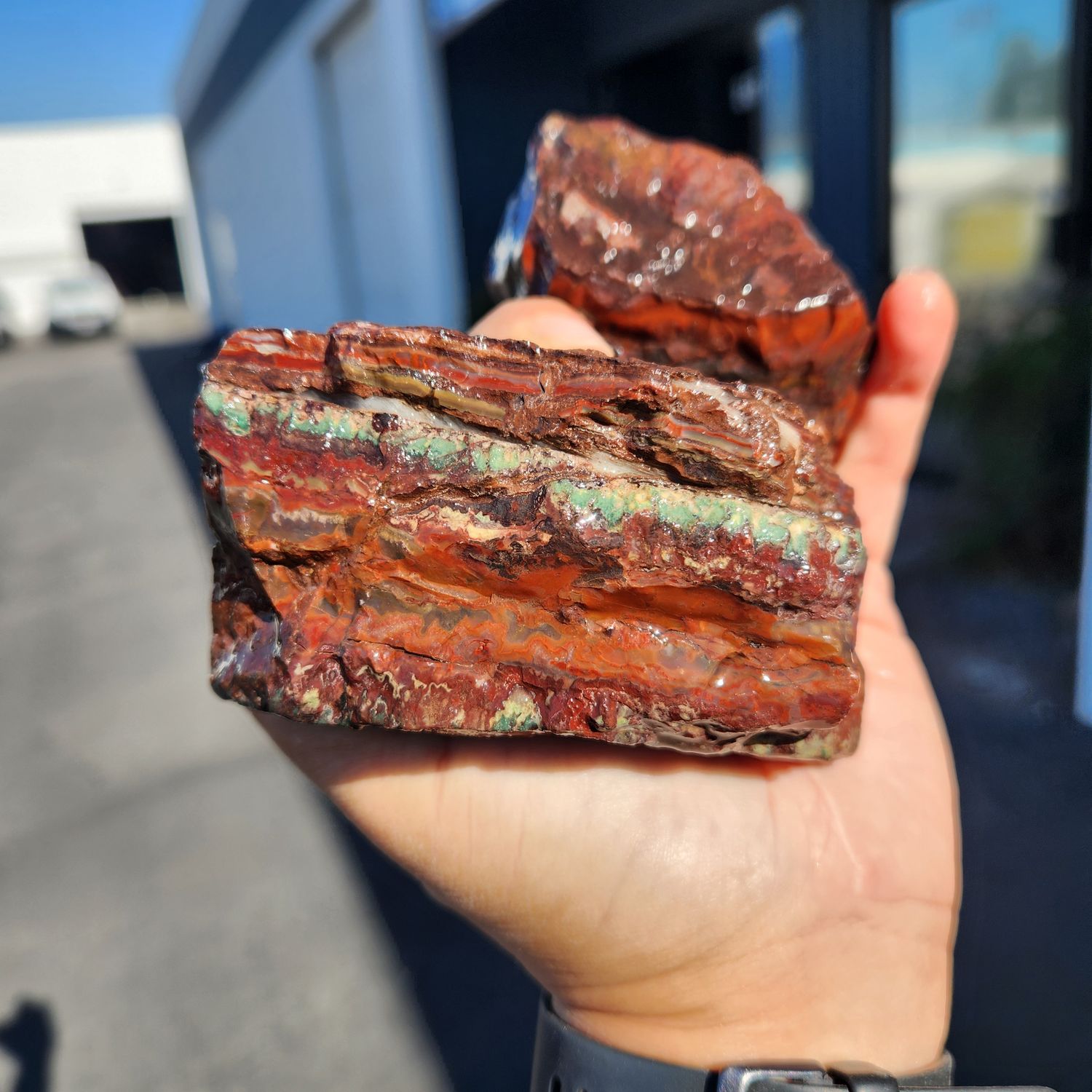 Lone Juniper Jasper Rough Lot