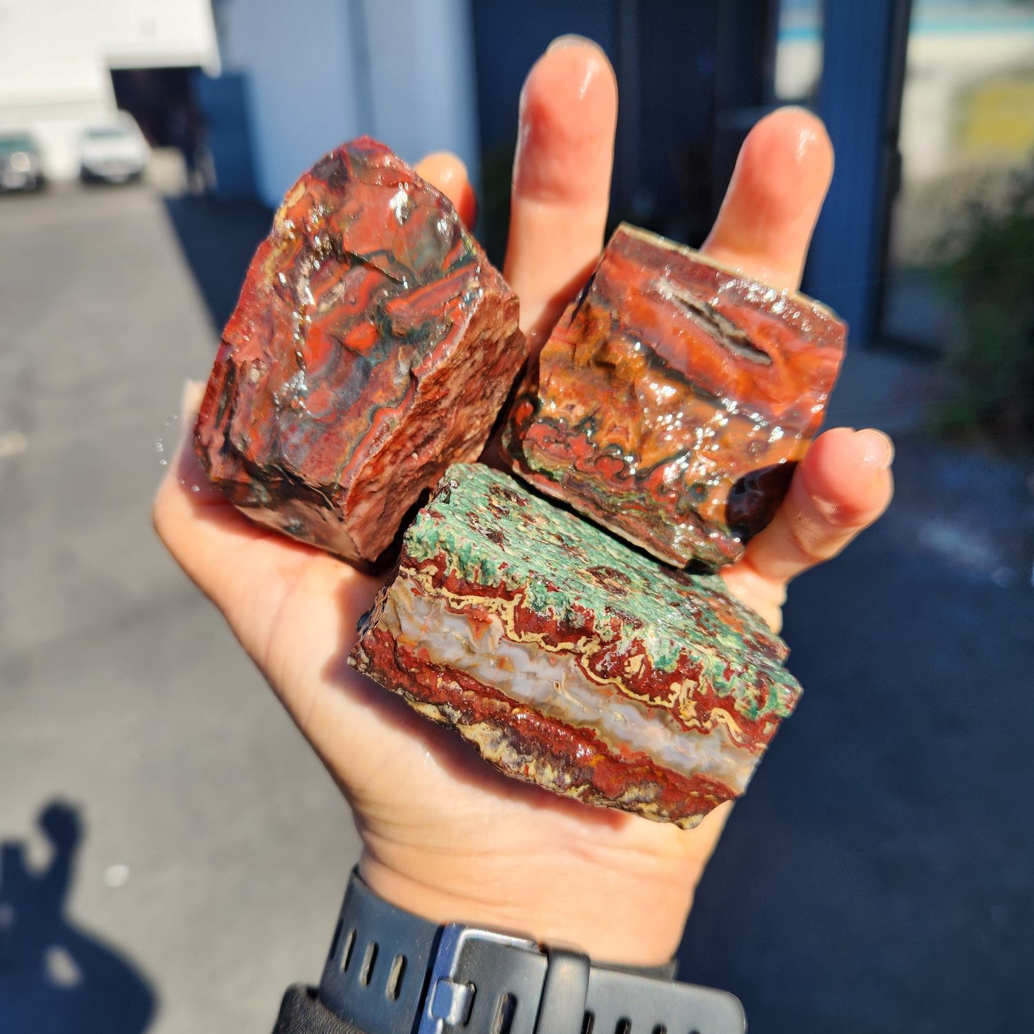Lone Juniper Jasper Rough Lot