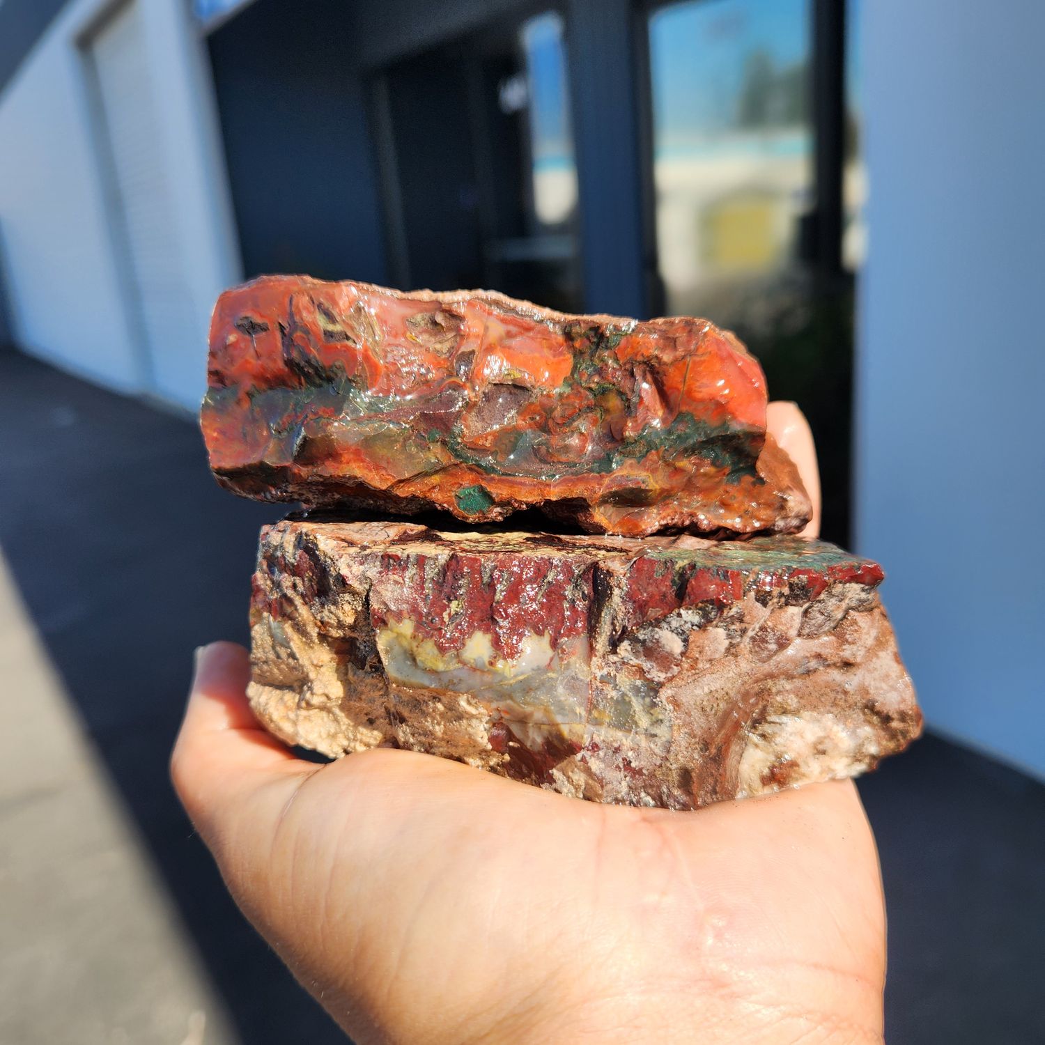 Lone Juniper Jasper Rough Lot