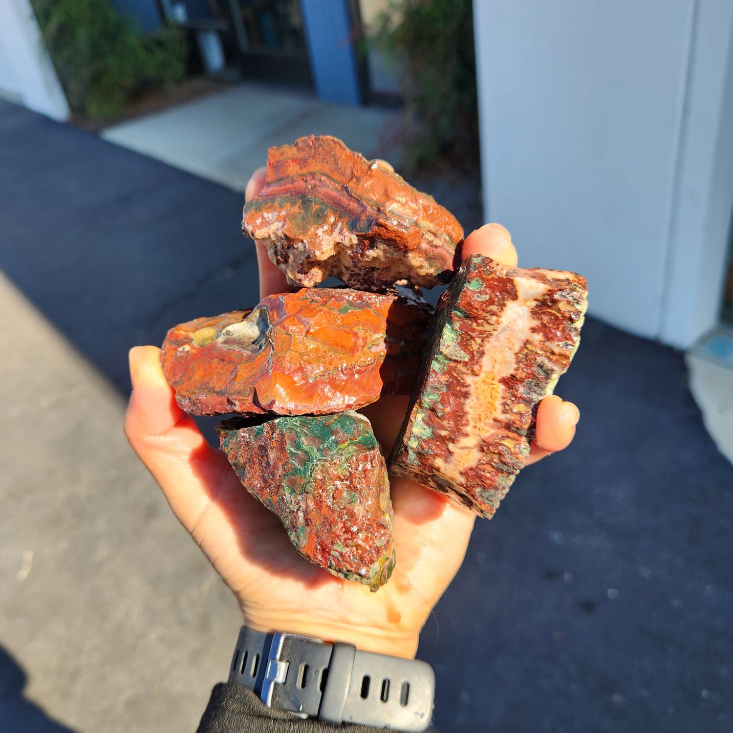 Lone Juniper Jasper Rough Lot