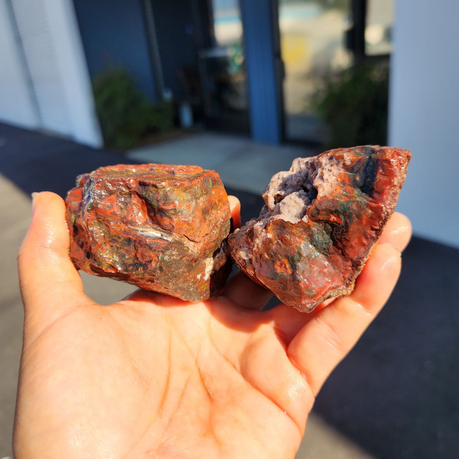 Lone Juniper Jasper Rough Lot