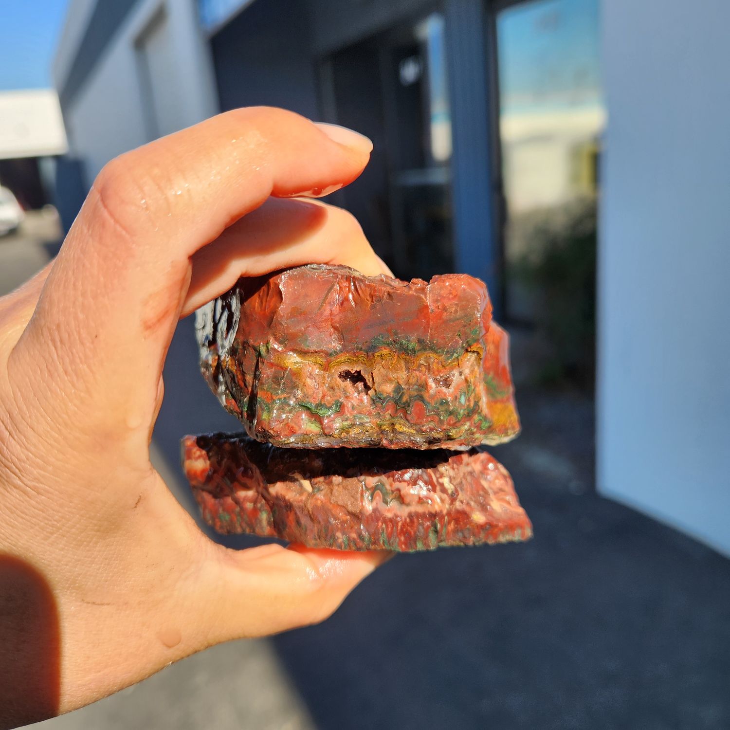 Lone Juniper Jasper Rough Lot