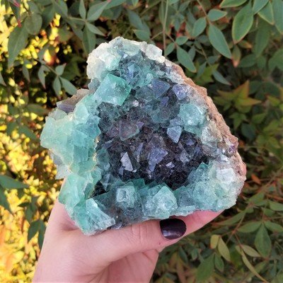 MINERAL SPECIMENS