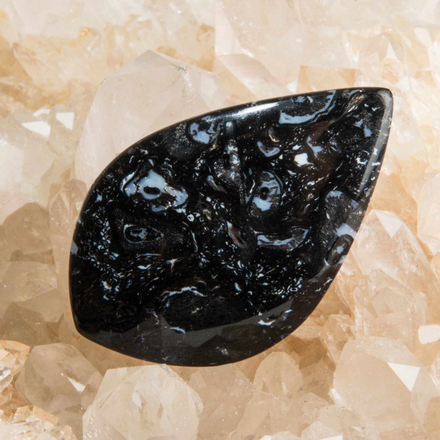 Black Palm Root Cabochon