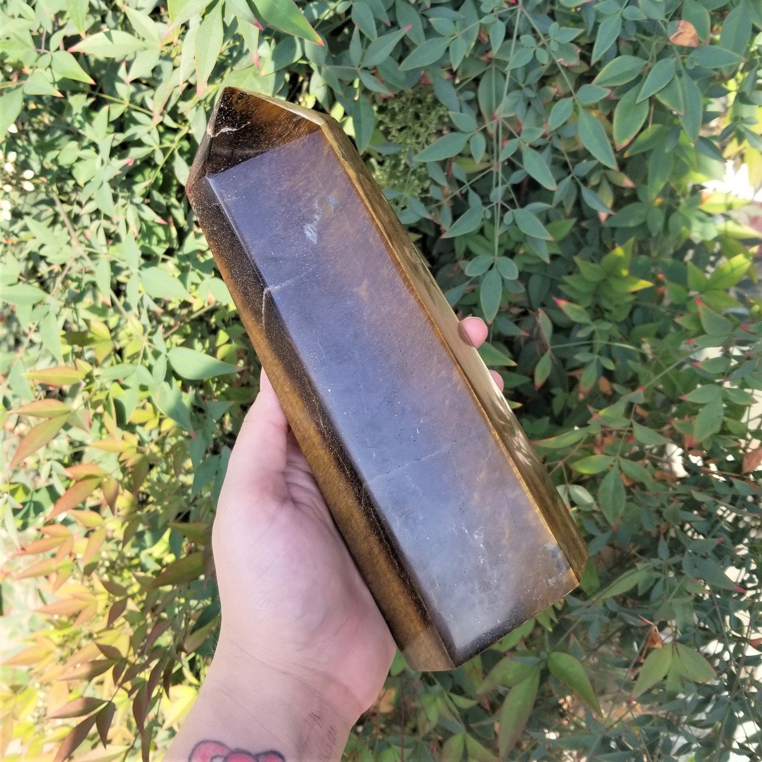 Tiger&#39;s Eye Point