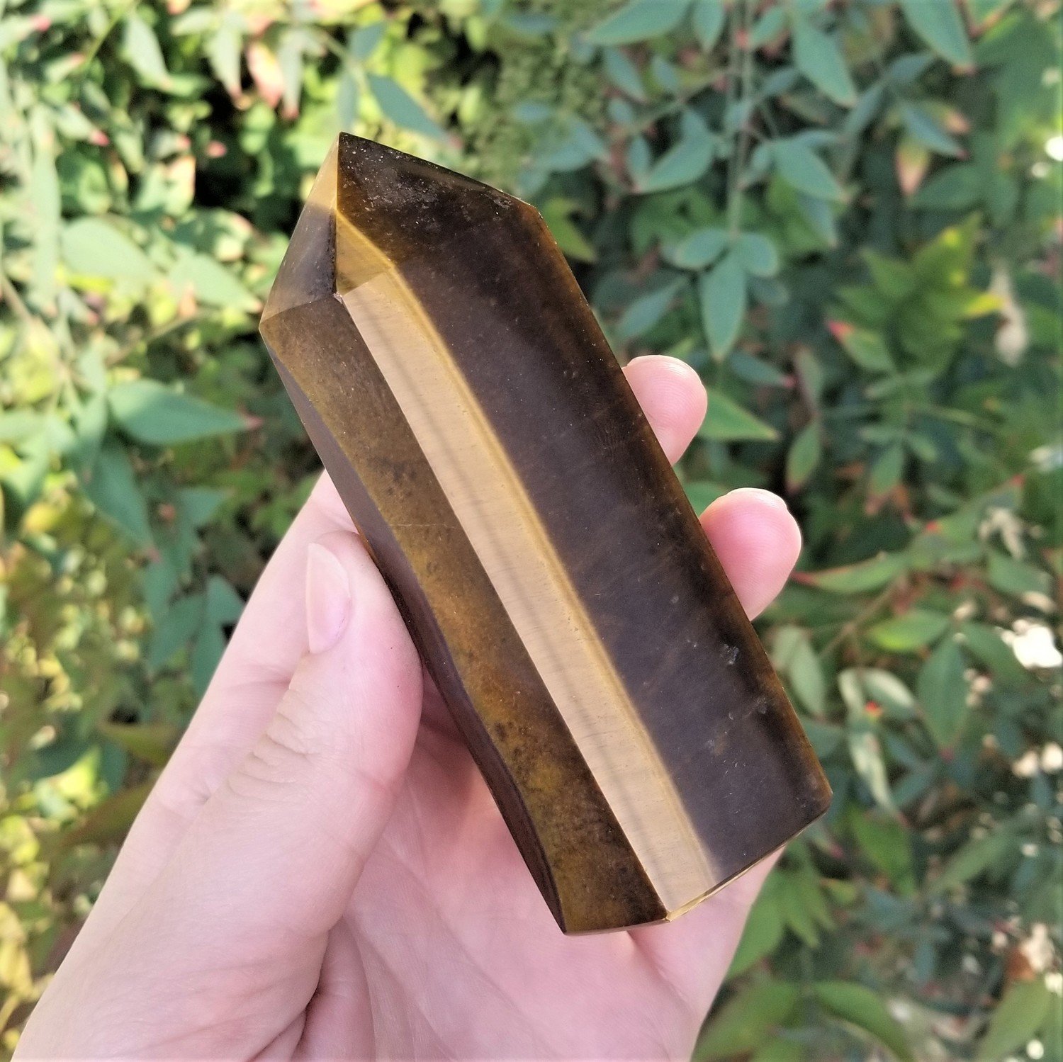 Tiger&#39;s Eye Point