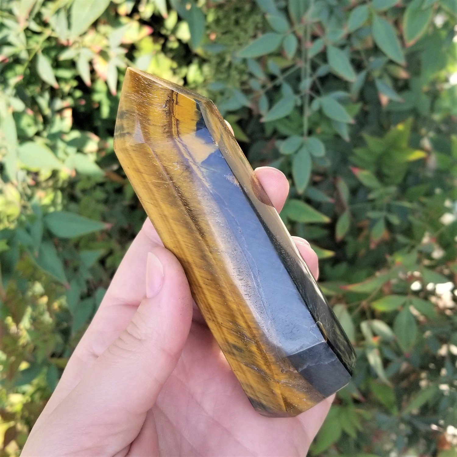 Tiger&#39;s Eye Point