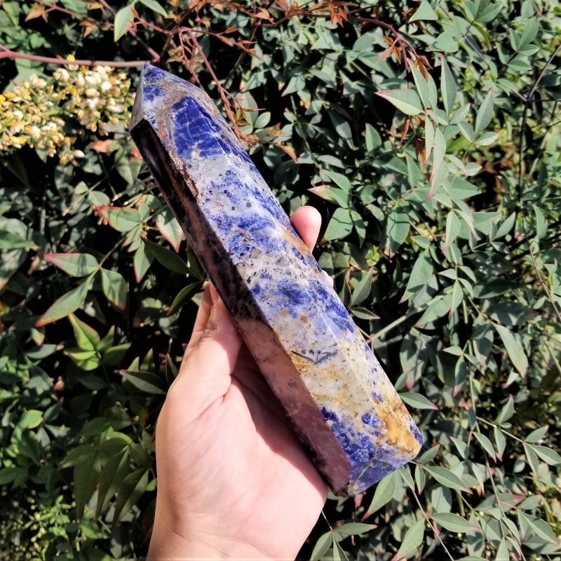 Polished Sodalite Point