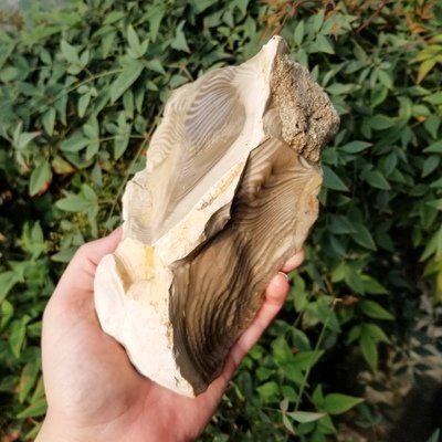 Unique Rough Stones