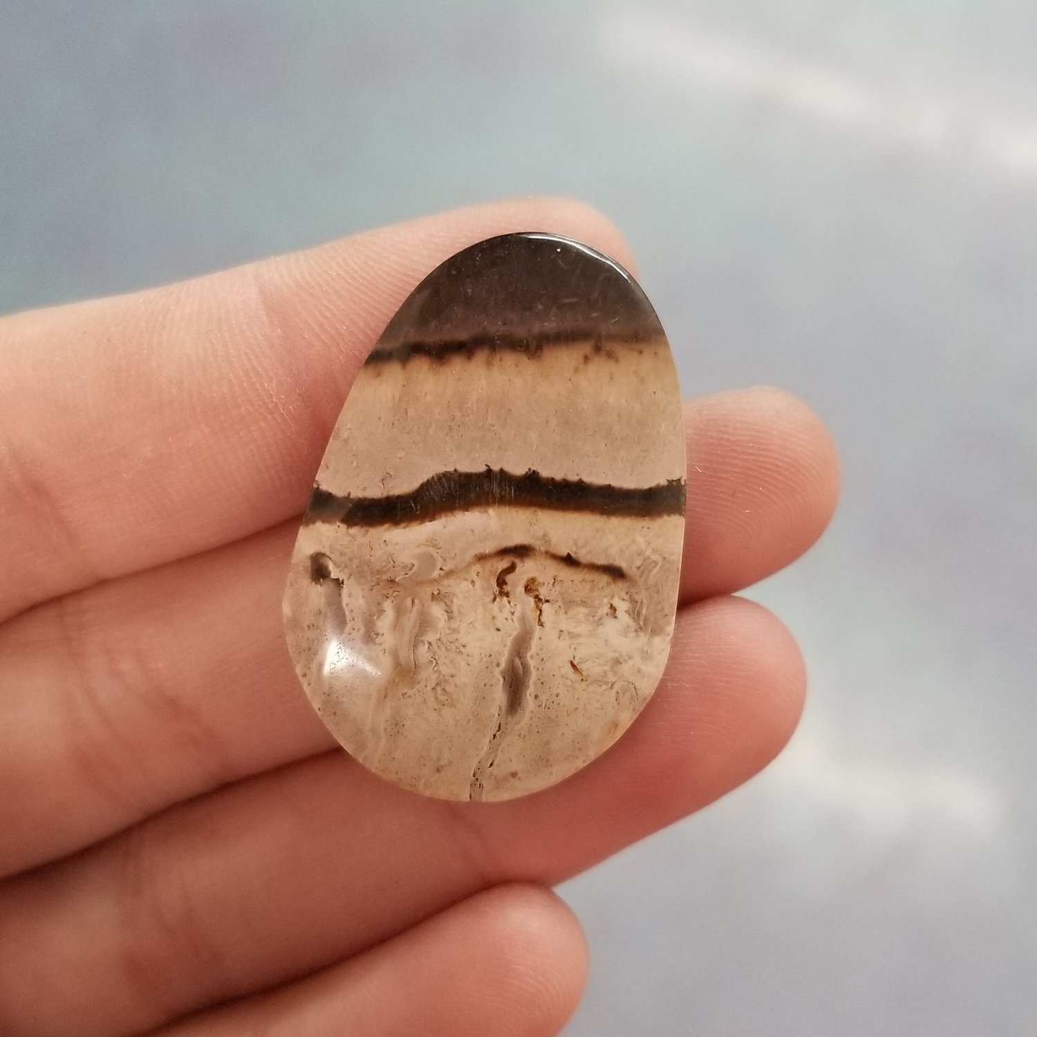 Indonesian Black Palm Root Cabochon
