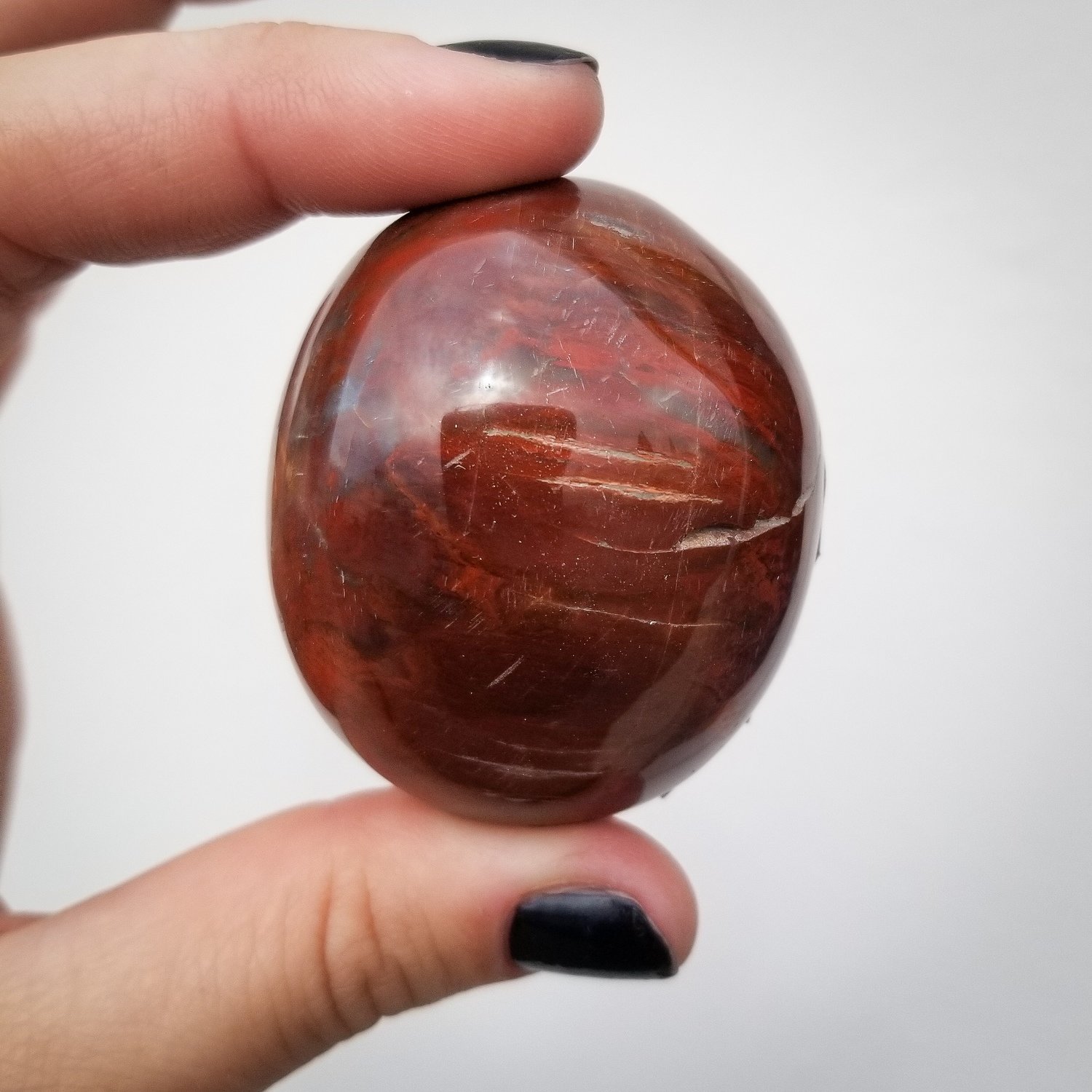 Petrified Wood Palmstone