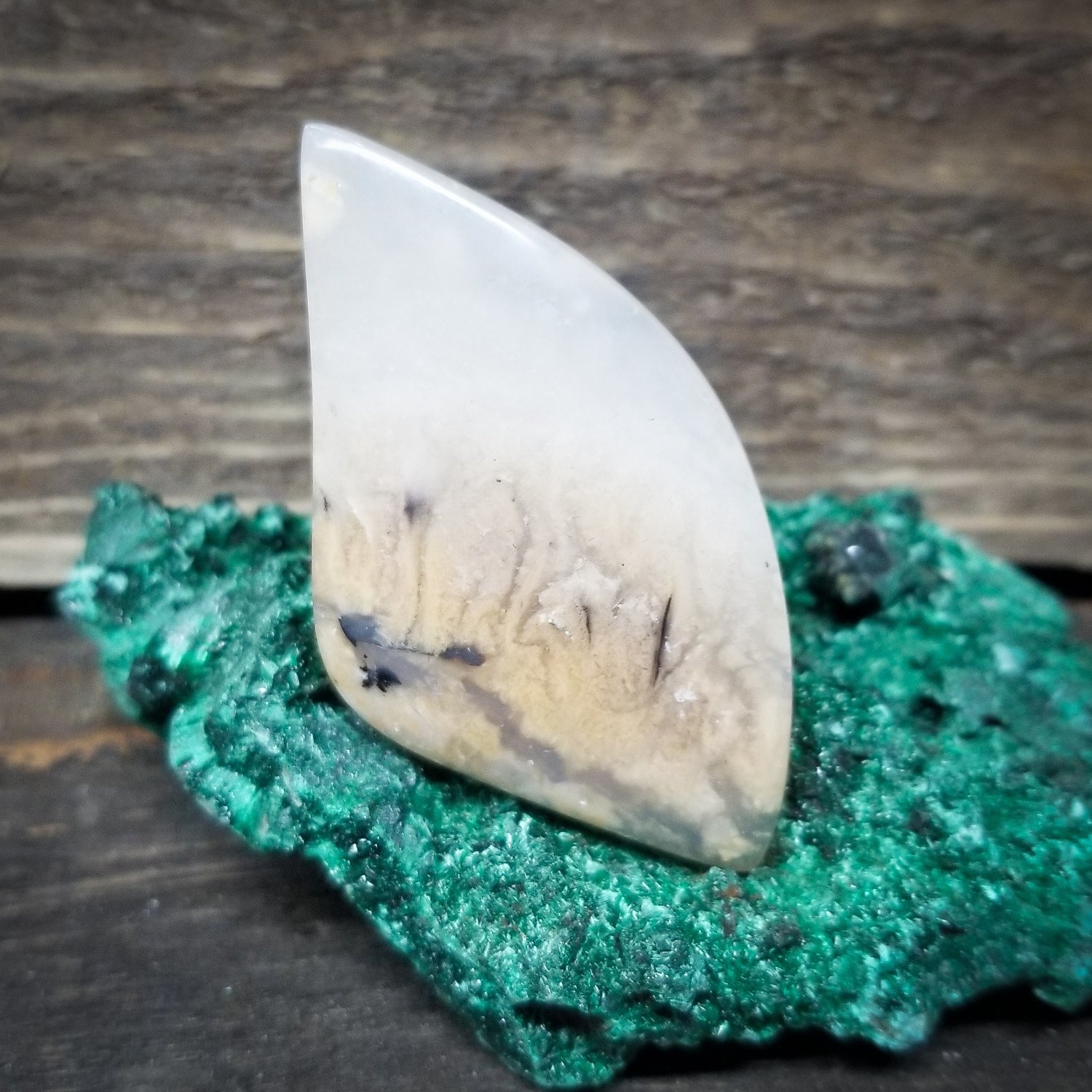 Indonesian Black Palm Root Cabochon