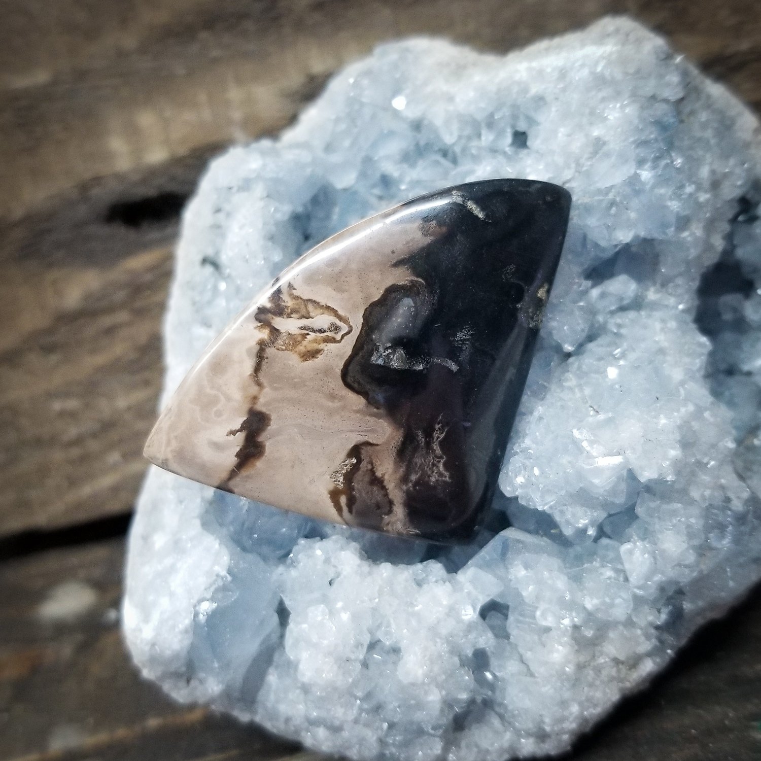 Indonesian Black Palm Root Cabochon