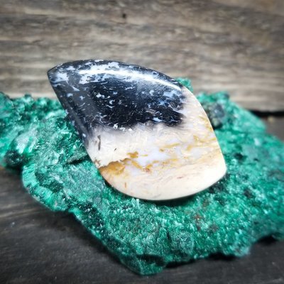 Indonesian Black Palm Root Cabochon Indonesian Black Palm Root Cabochon