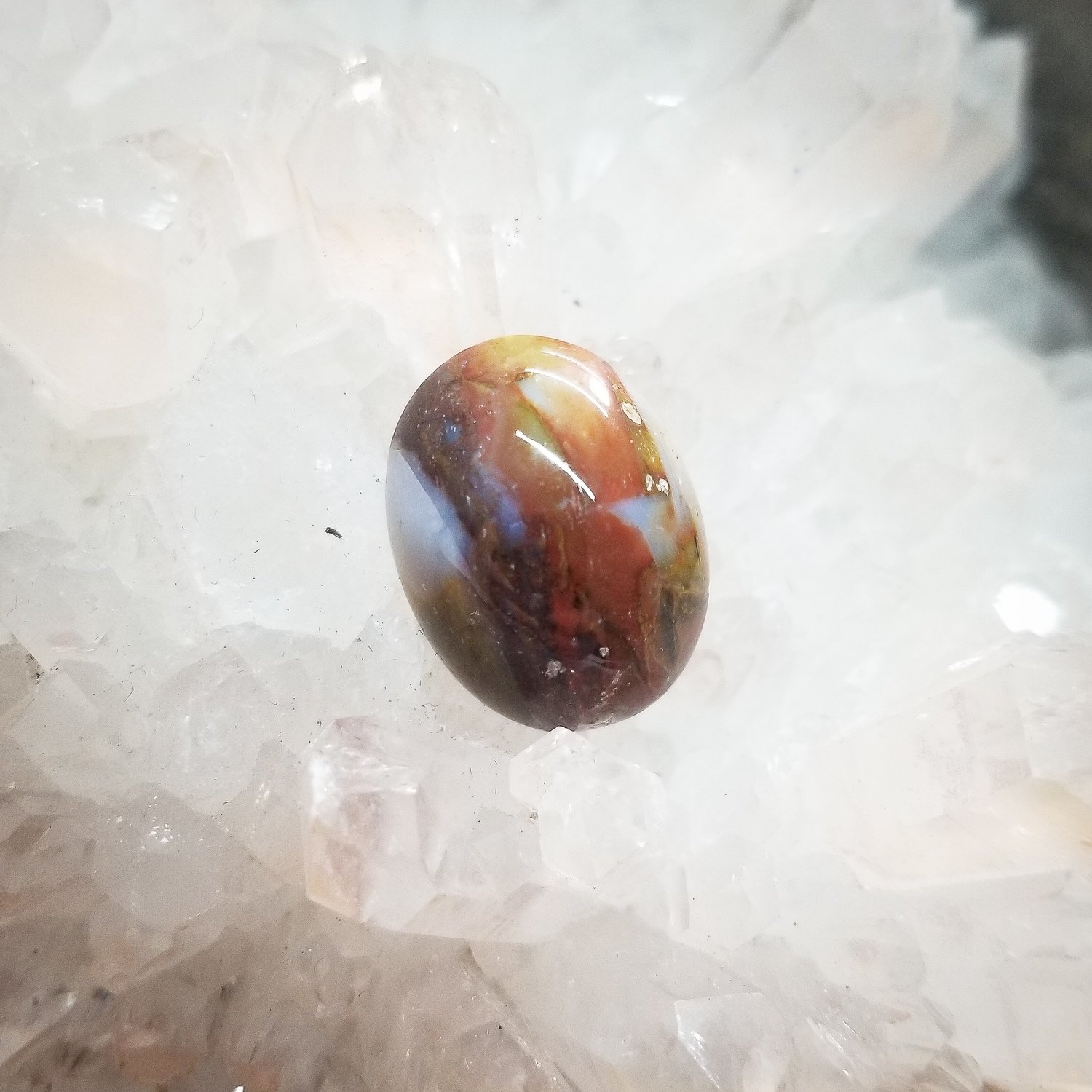 Indonesian Opalized Wood Cabochon