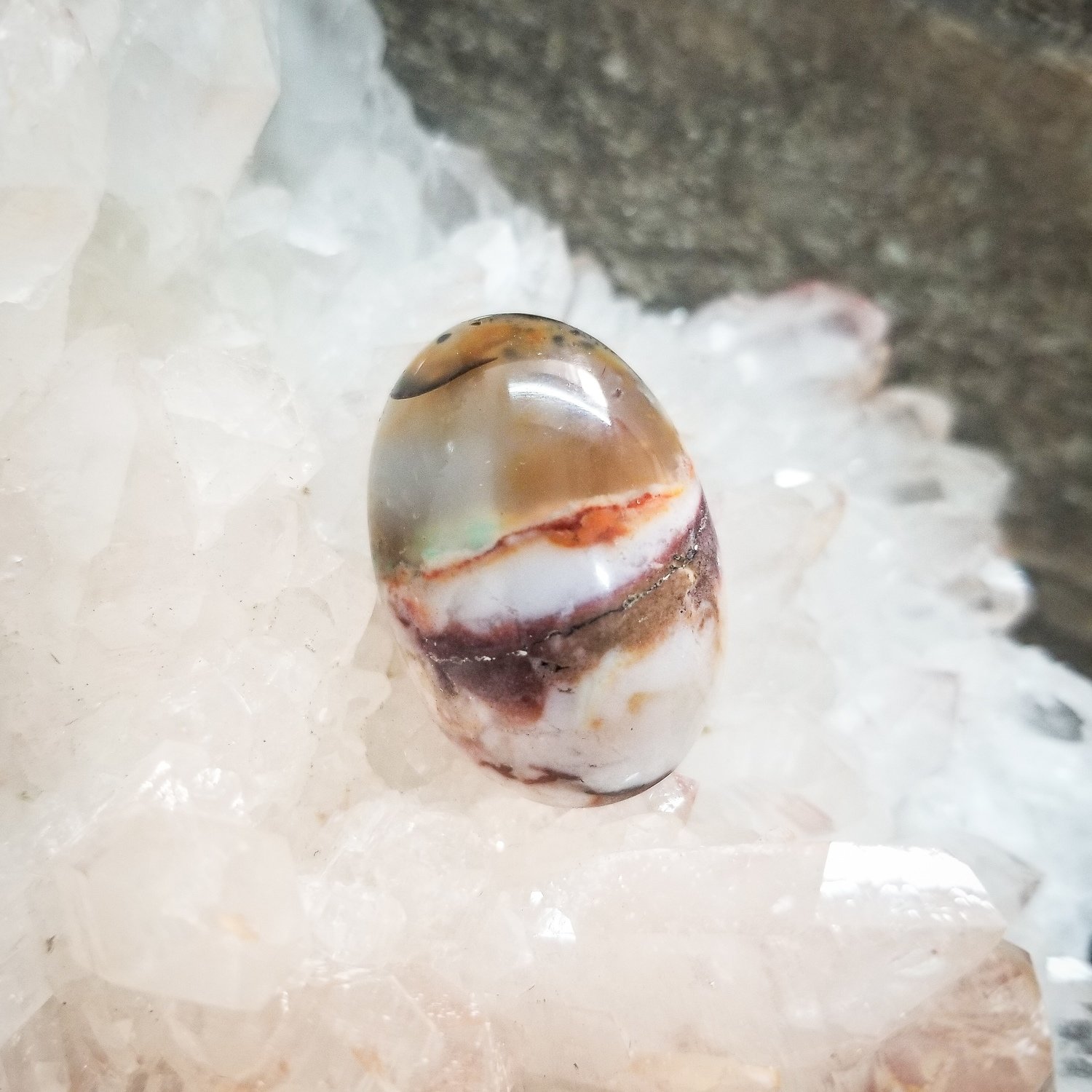 Indonesian Opalized Wood Cabochon