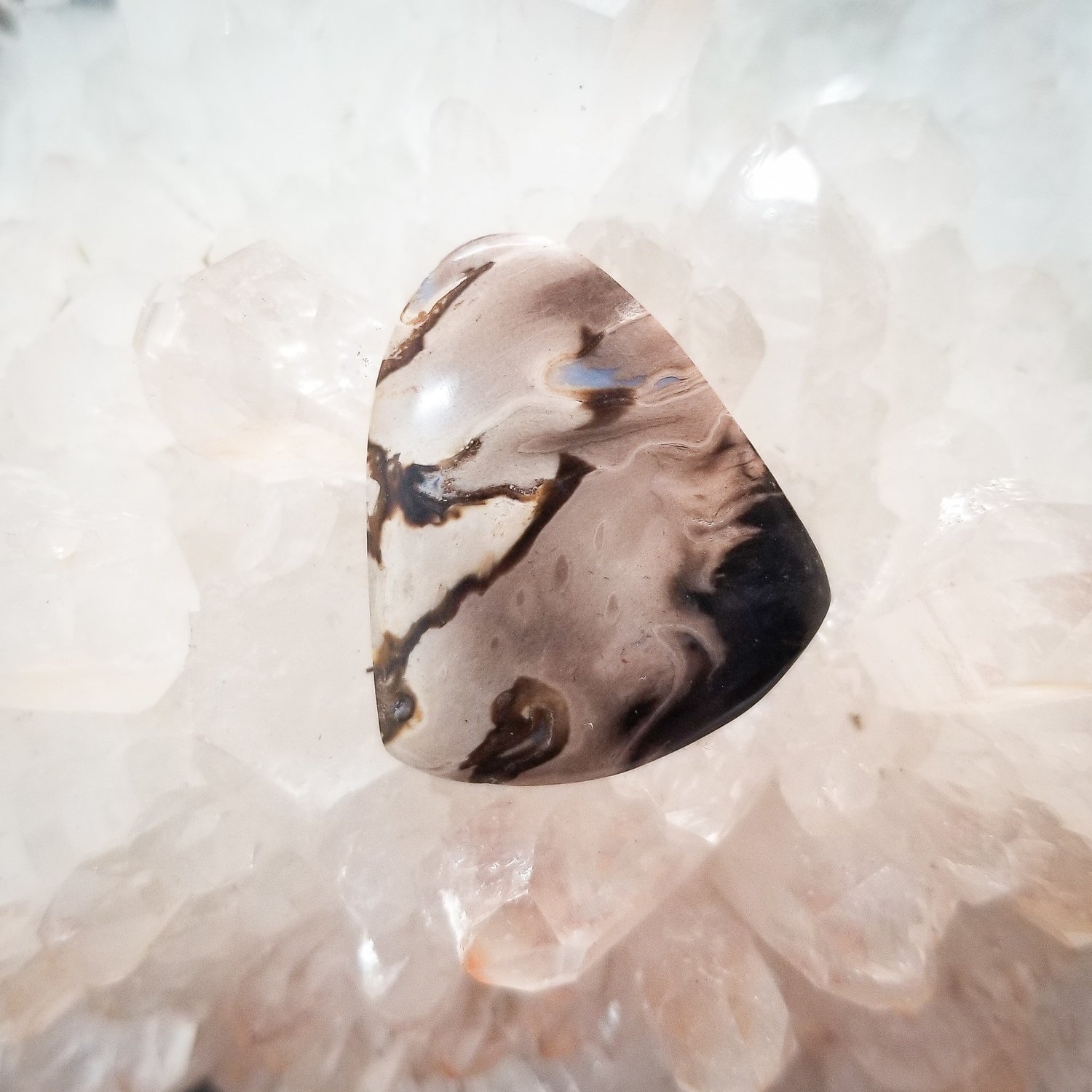 Black Palm Root Cabochon
