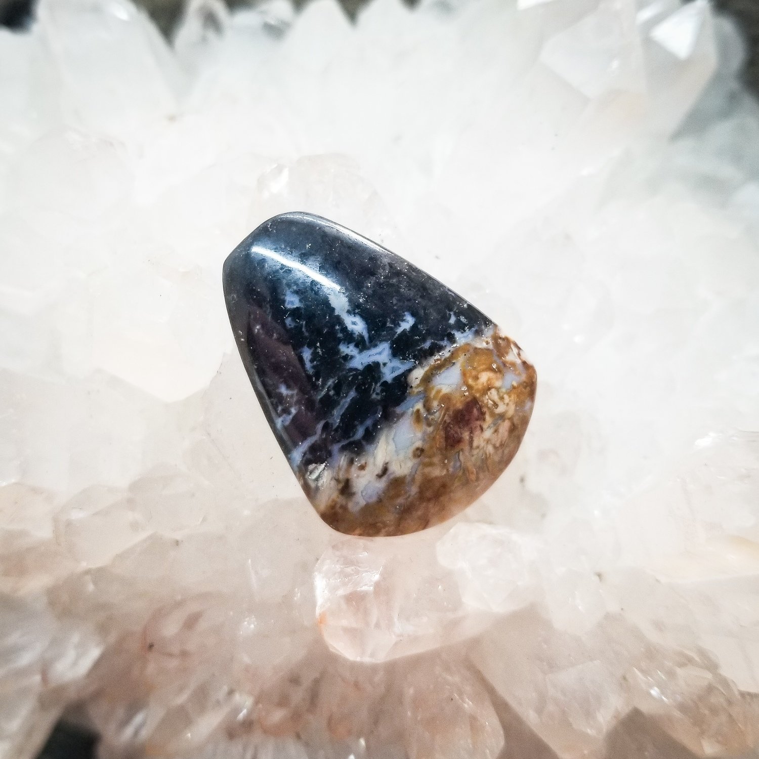 Black Palm Root Cabochon