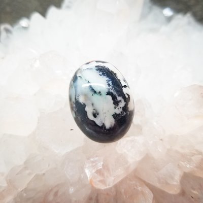 Indonesian Opalized Wood Cabochon