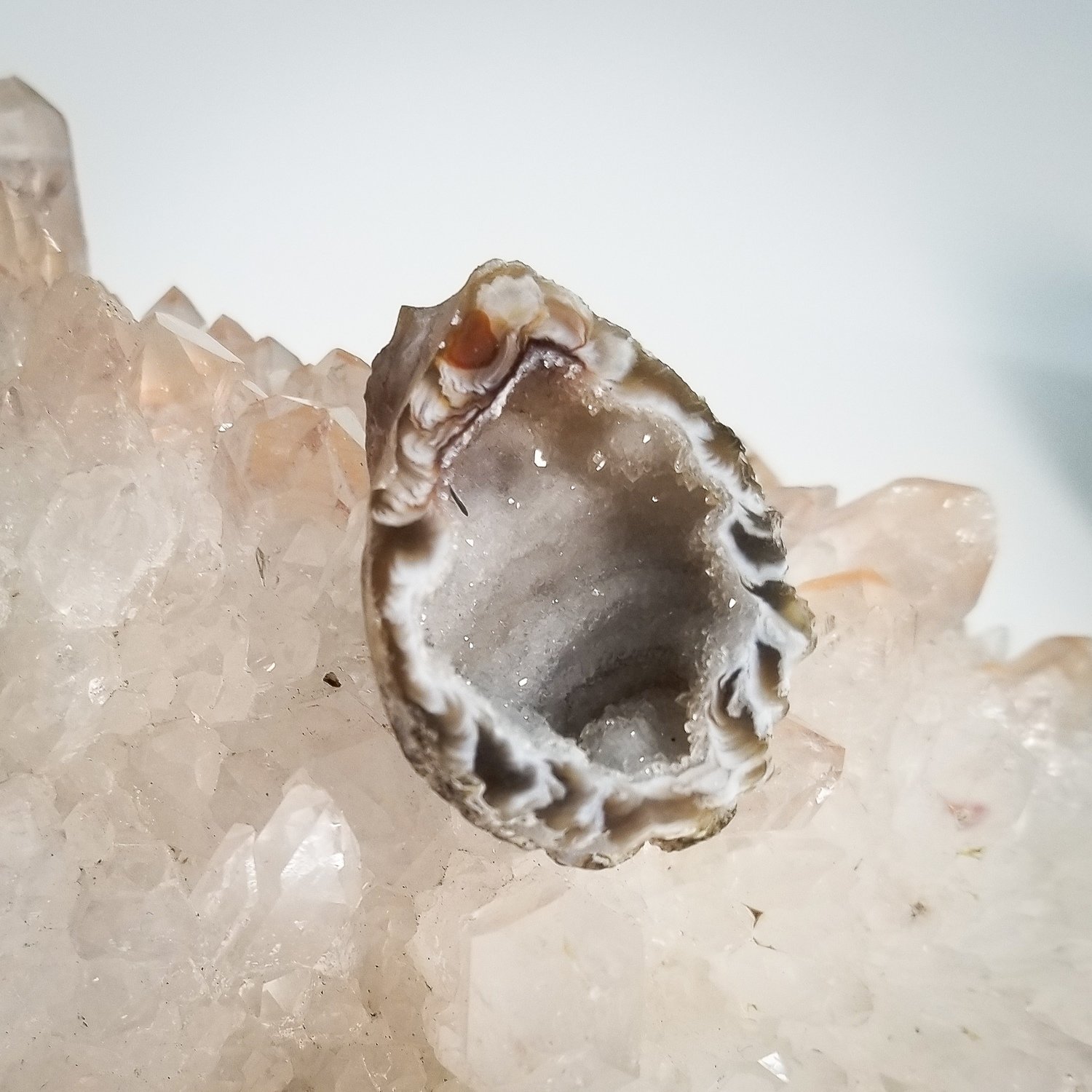 Mini Coco Geode Half