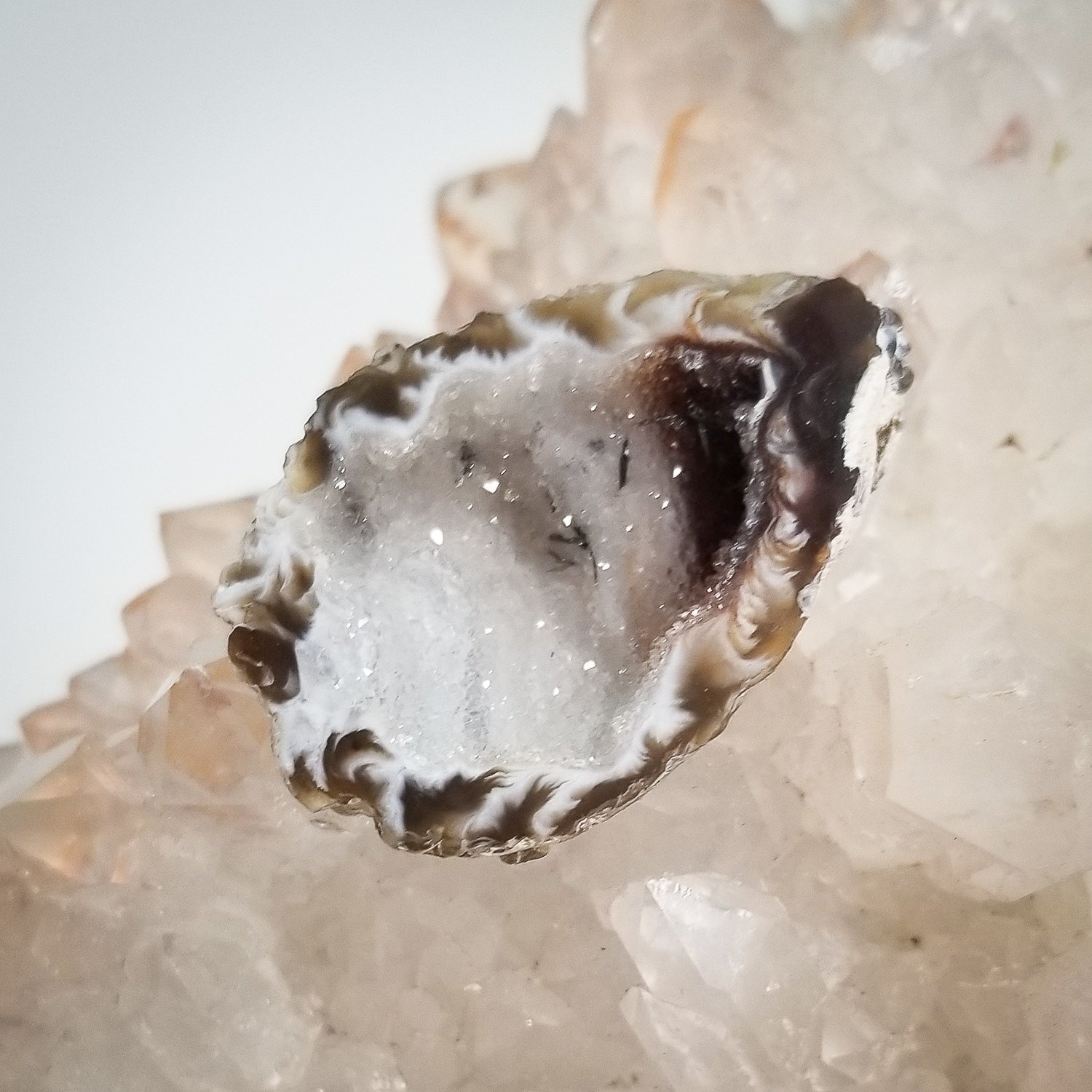 Mini Coco Geode Half