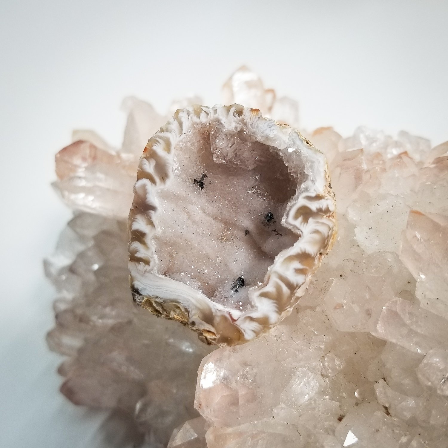 Mini Coco Geode Half