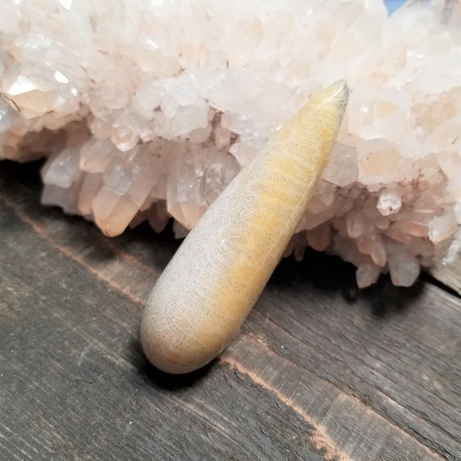Fossilized Coral Massage Wand