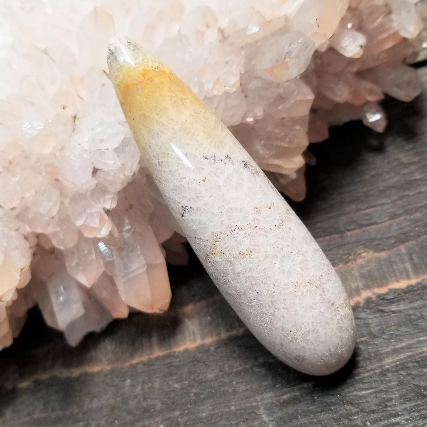 Fossilized Coral Massage Wand