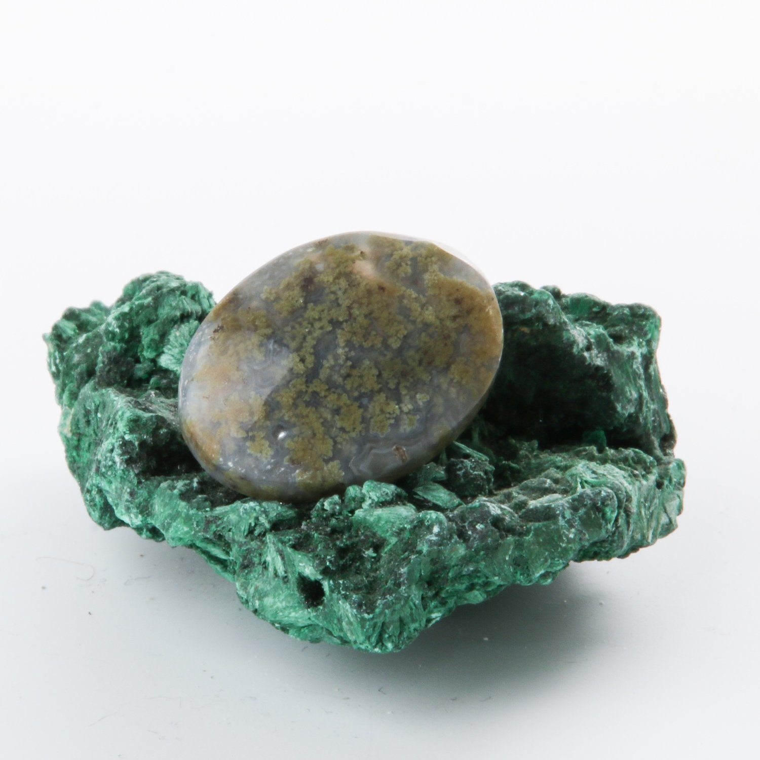 Moss Agate Cabochon