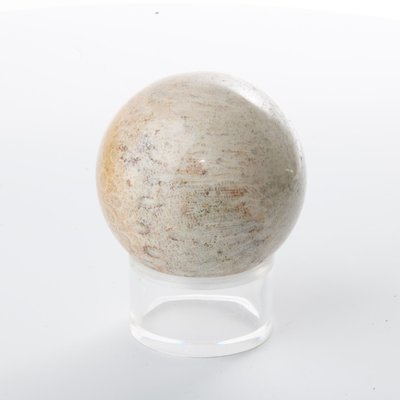 Fossilized Coral Sphere
