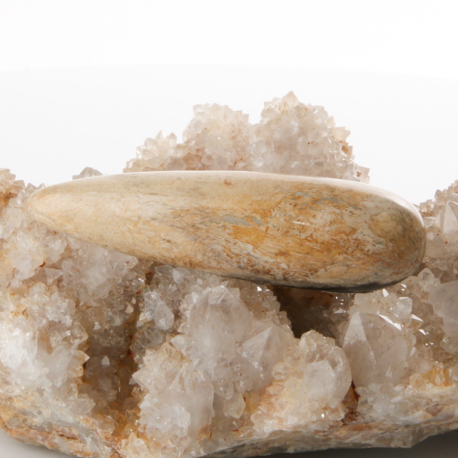 Black Palm Root Massage Wand