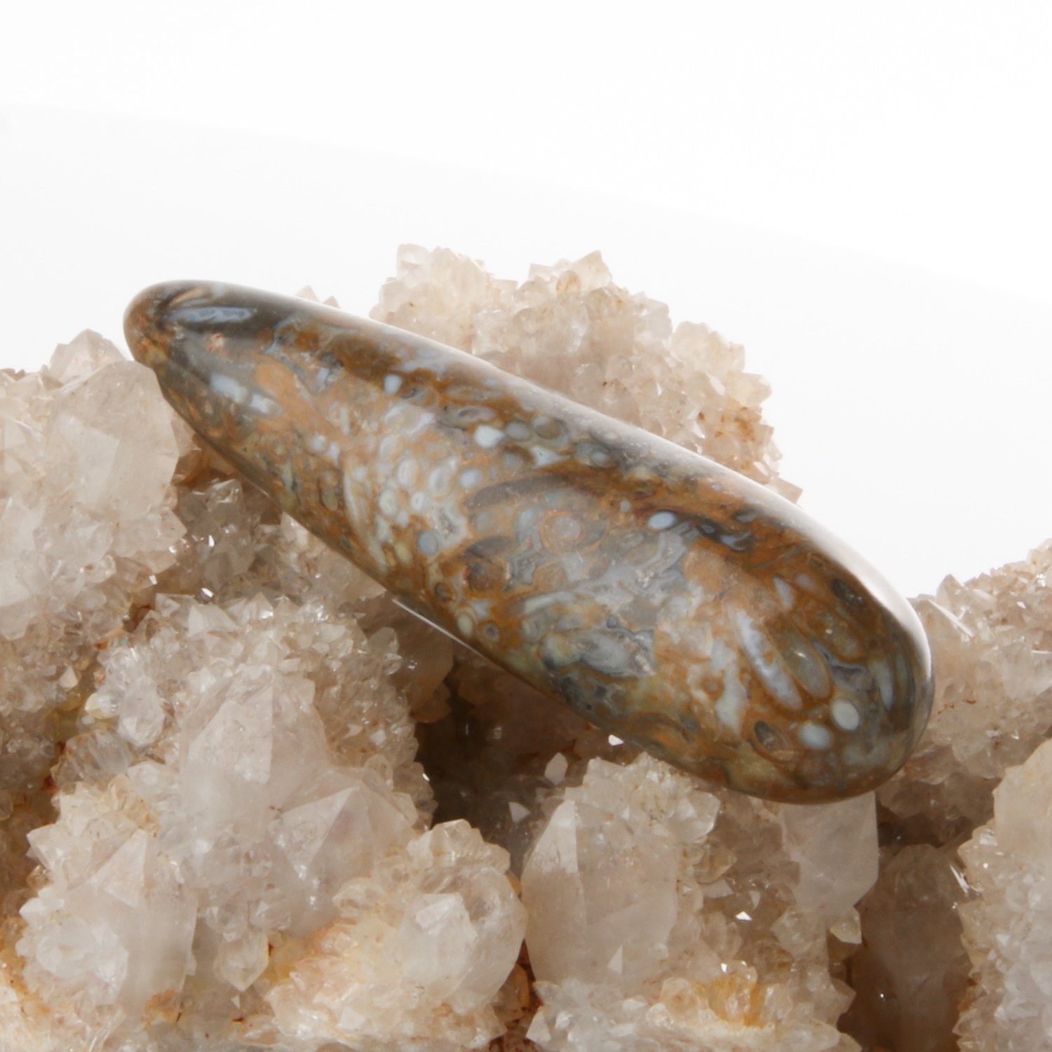 Palm Root Massage Wand