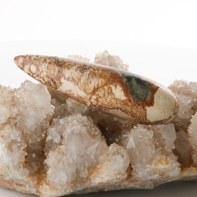 Black Palm Root Massage Wand