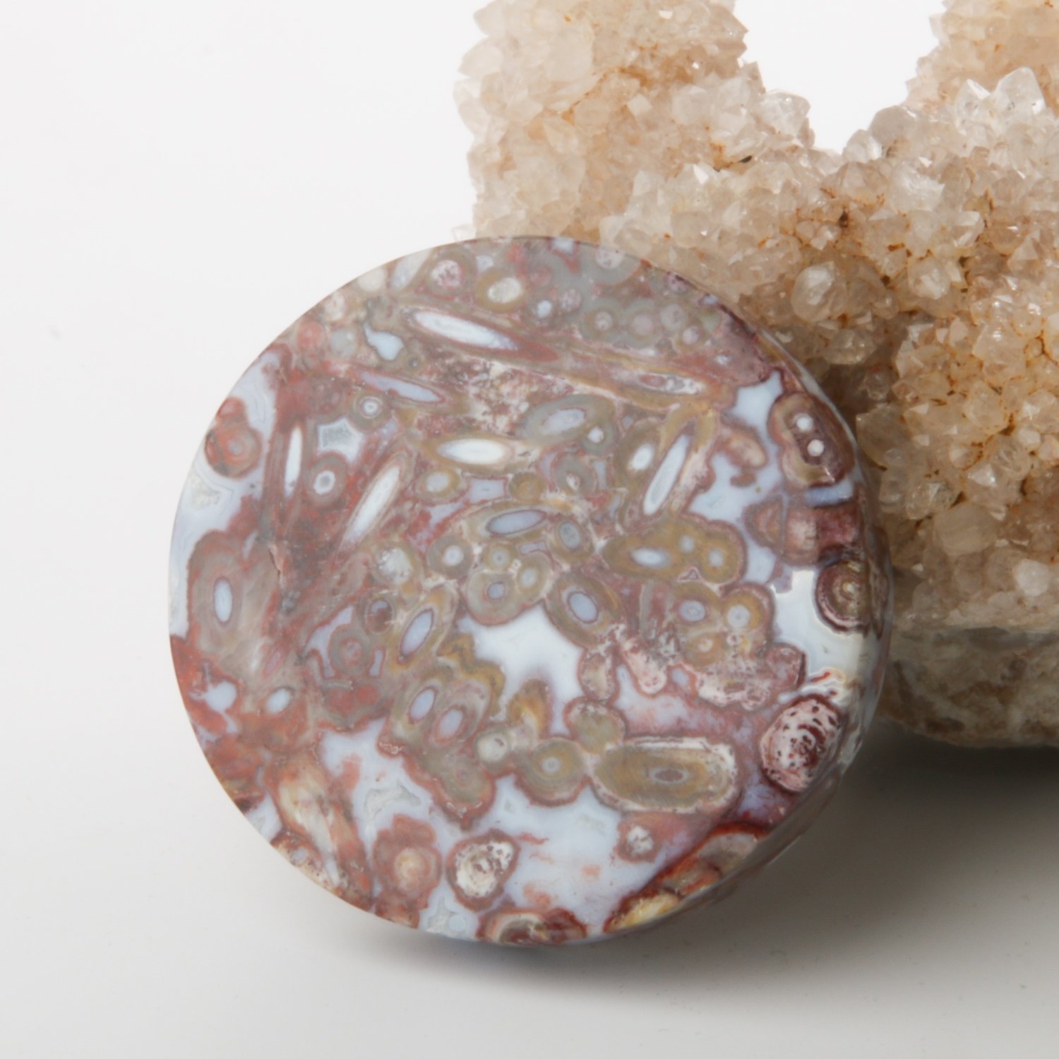 Red Palm Root Cabochon