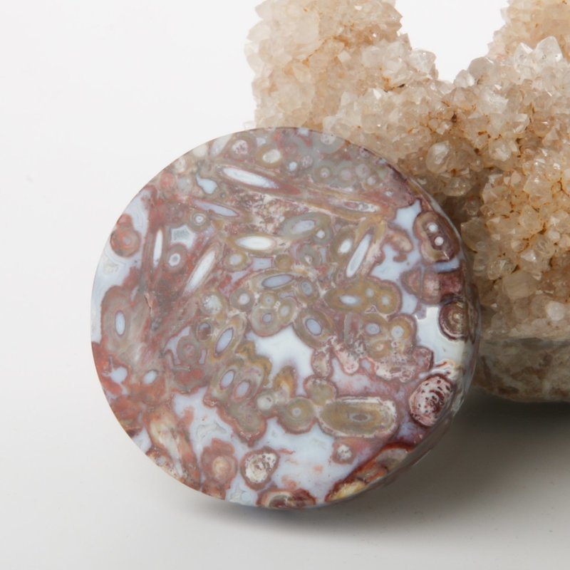 Red Palm Root Cabochon