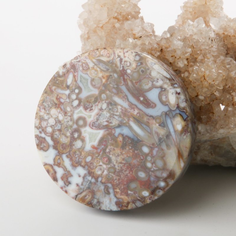 Red Palm Root Cabochon