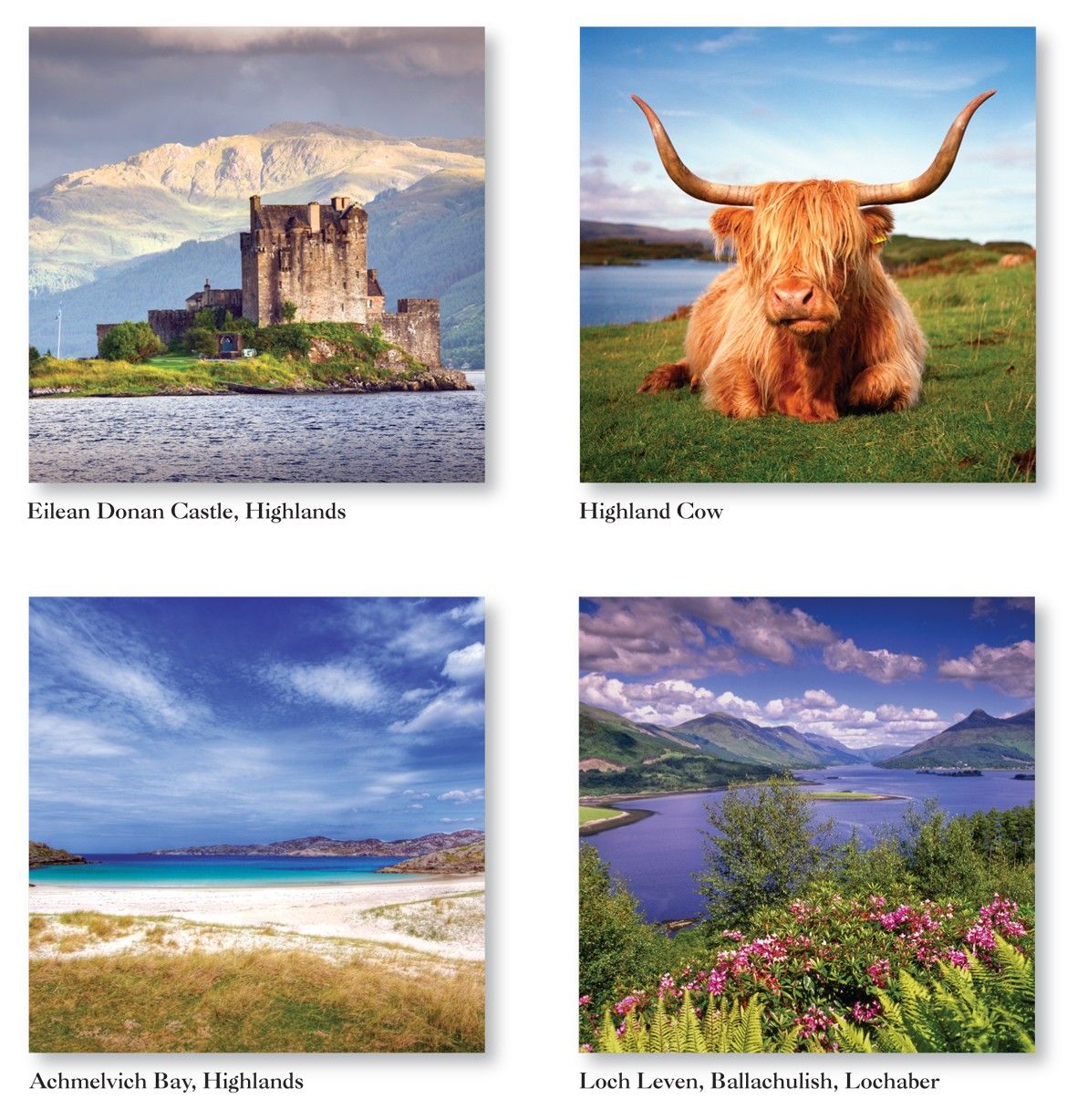 2025 Scotland Wall Calendar Beautiful Planner Organiser Gift for Christmas New Year