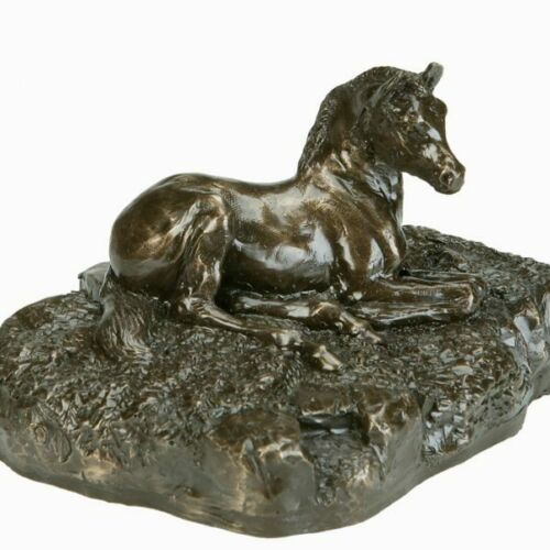 Foal Figurine Cold Cast Bronze Display Animals Decorative Irish Souvenir Gift