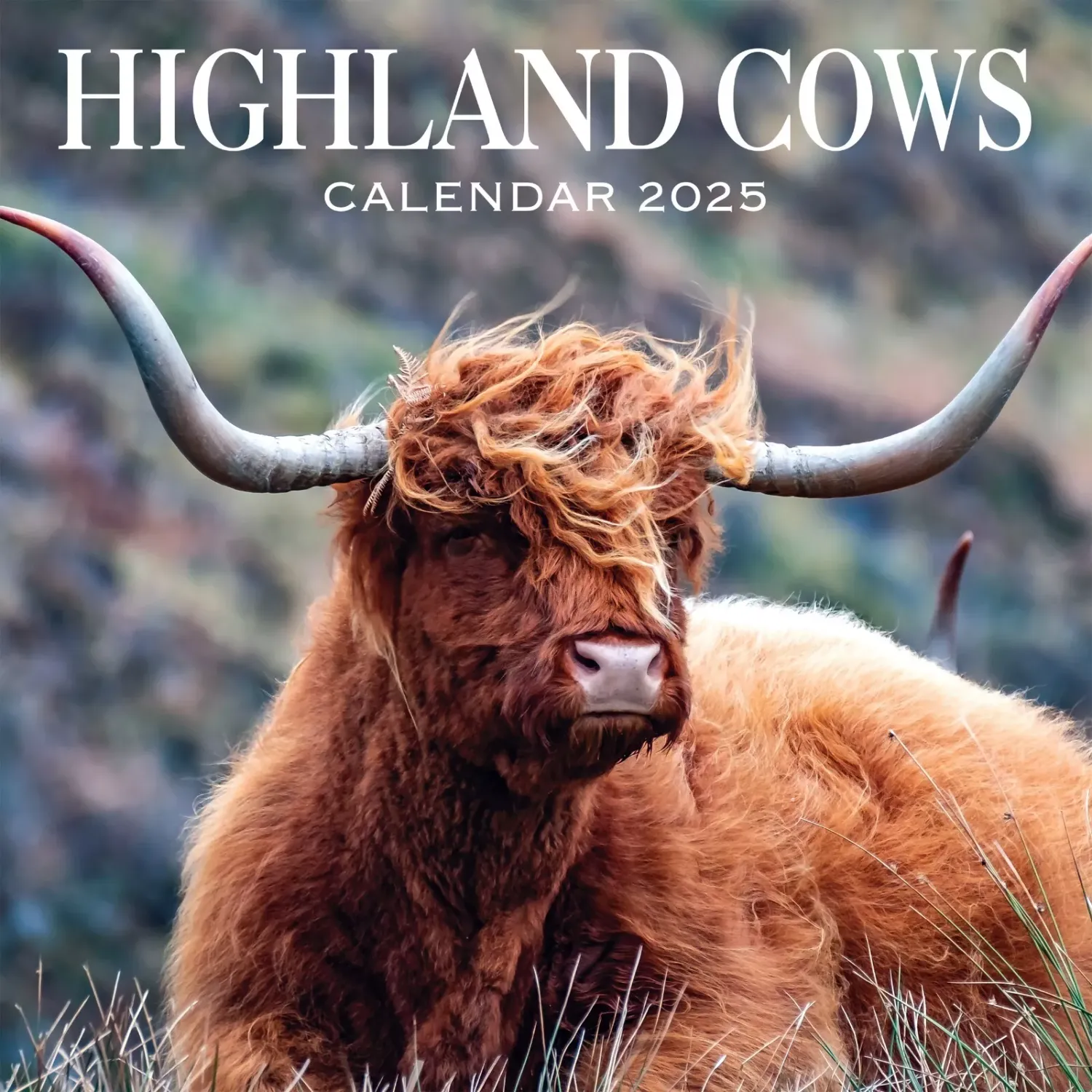 2025 Calendar Highland Cows Cattle Hanging Organiser Wall Planner Gift Christmas