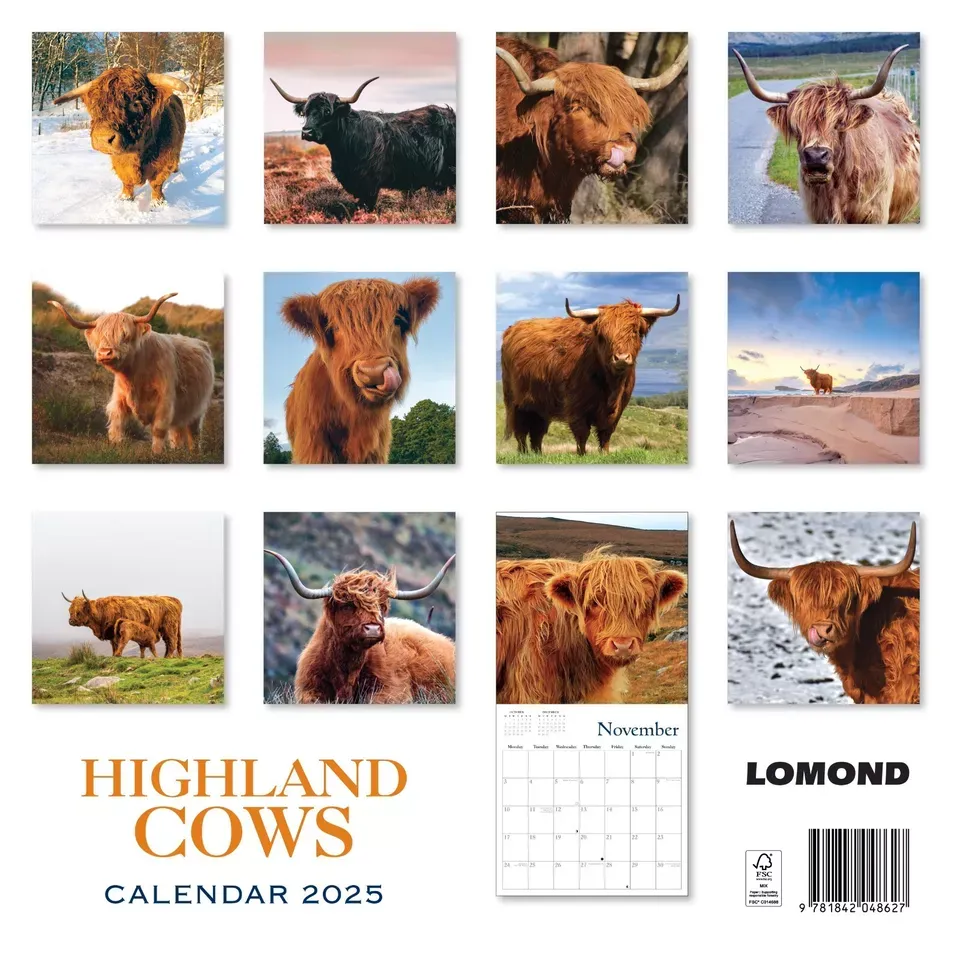2025 Calendar Highland Cows Cattle Hanging Organiser Wall Planner Gift Christmas