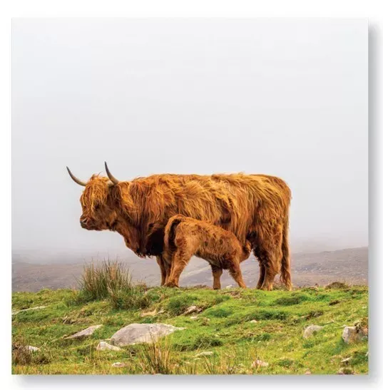 2025 Calendar Highland Cows Cattle Hanging Organiser Wall Planner Gift Christmas
