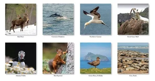 2026 Calendar Natural Scotland