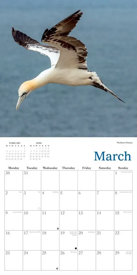 2026 Calendar Natural Scotland