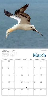 2026 Calendar Natural Scotland