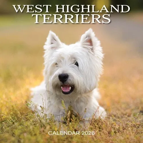 West Highland Terriers 2026 Calendar
