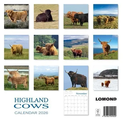 2026 Calendar Highland Cows