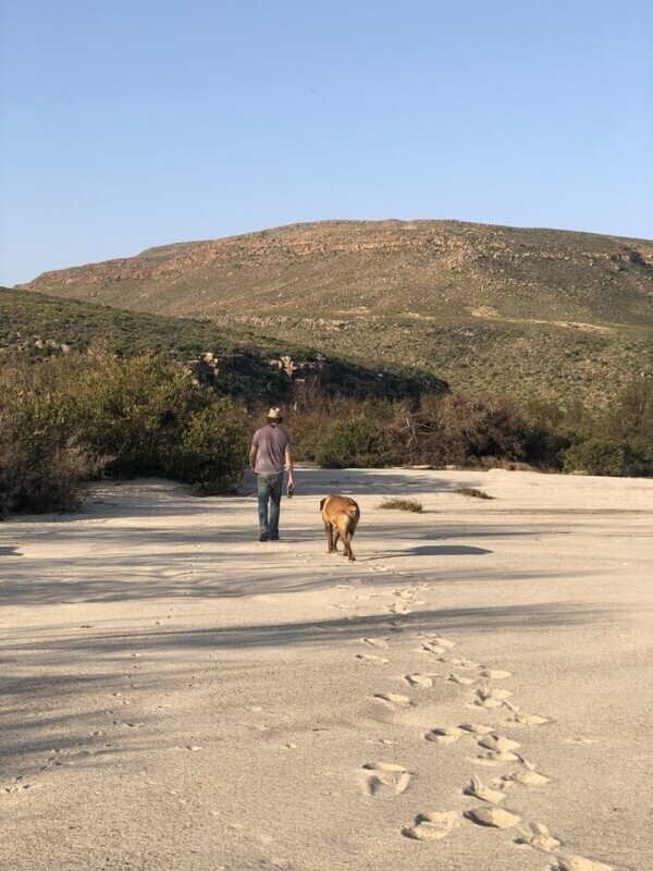 Nature Picnic Spots